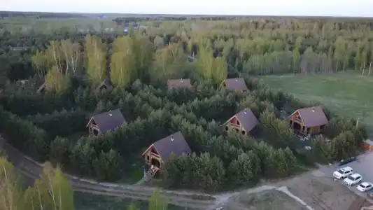 Белая морошка - 0