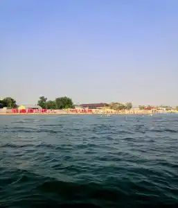 Роза Ветров - 3