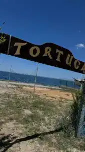 Тортуга - 1