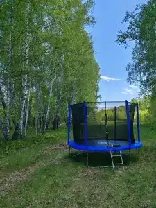 В гостях у леса - 3