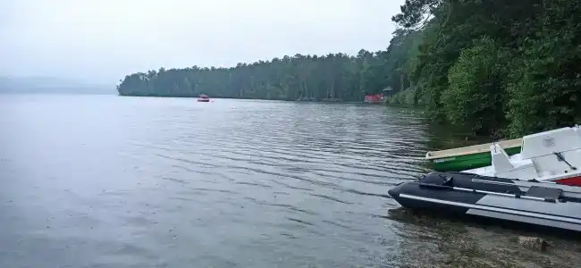 Лесная поляна - 45