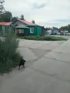 Наш Дворик - 8