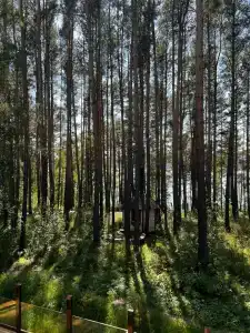 Бурдугуз - 79