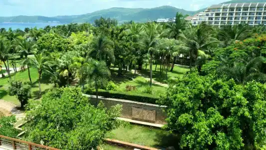 Sheraton Sanya Yalong Bay Resort - 40