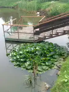 Эко Суздаль Inn - 48