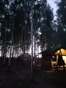 Богданово - 65