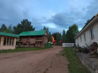 Живица - 41