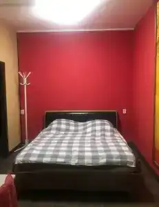 Кингфишер - 42