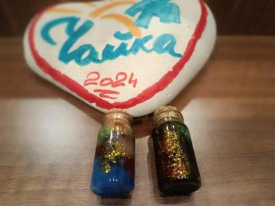 Чайка - 37
