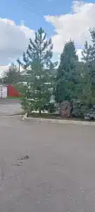 Уют - 12