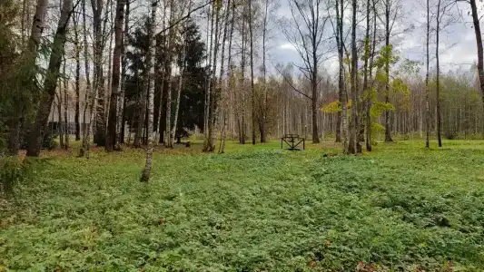 Серебряный Ключ - 80