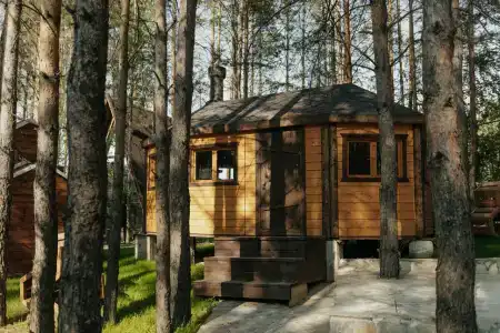 Магия леса - 82