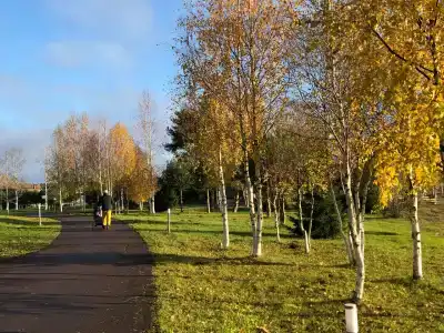 Черные камни - 66