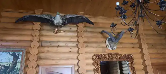 Охотничий Домик - 15