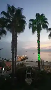 Galeri Resort - Ultra All Inclusive - 83