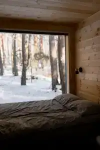 Место под соснами - 42