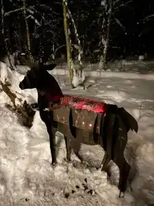 Глэмпинг Shanti Home - 75