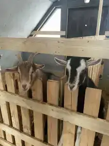 Кроличья нора - 81