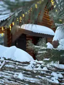 Велесов лес - 9