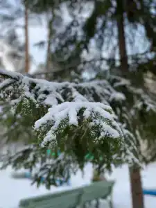 Сура - 74