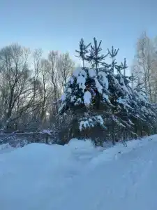 Окб Мэи - 8