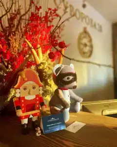 Суворова 26 - 51