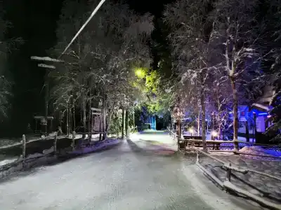 Лесная - 33