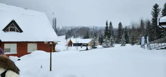 Белогорье - 58