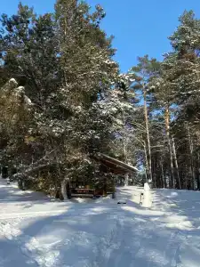 Русский берег - 14