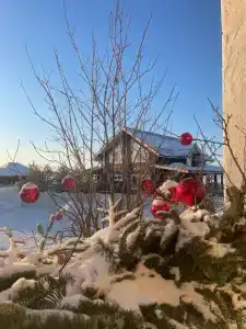 Суворова 26 - 49