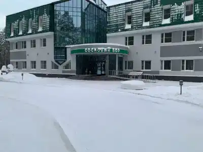 Сосновый бор - 0