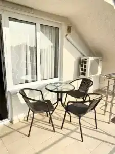 Альбатрос - 50