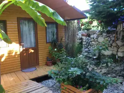 у Левы - 7