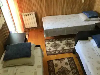 у Левы - 46