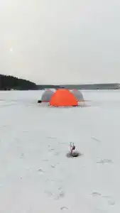 Сосновый бор - 14