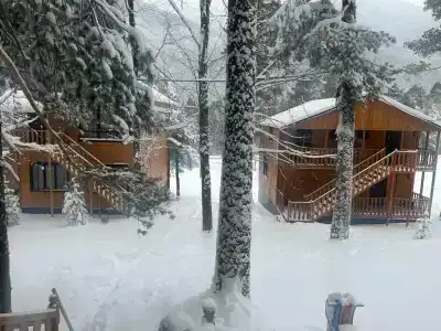 Панорама - 36