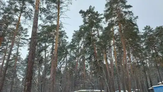 Солнечный мыс - 22