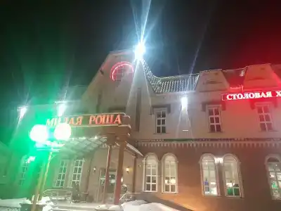 Милая роща - 9