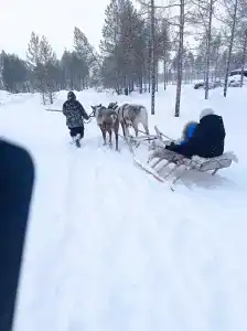 Югорские Урманы - 1