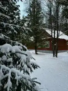 4 Сезона - Нефтяник - 25