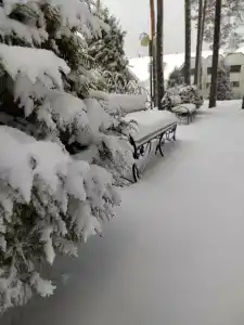 Энергетик - 30