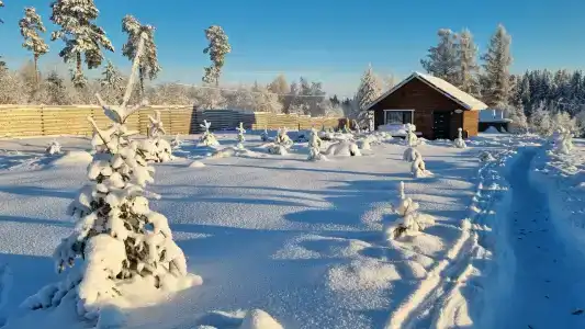 Каранкое - 79