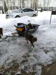 Серебряный Ключ - 53