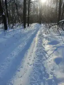 Воронье гнездо - 31