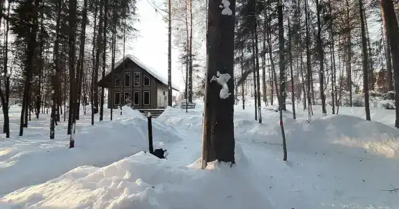 СмородинаХаус - 28