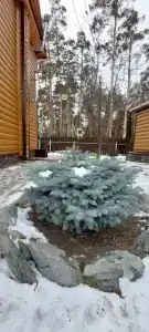Усадьба у Гришаевых - 7