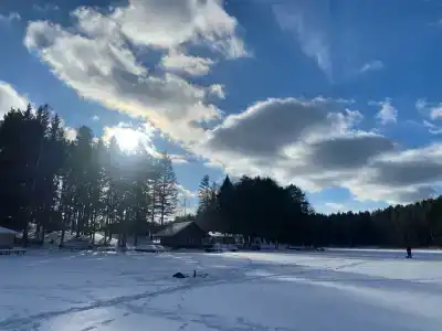 Зелёная роща - 16