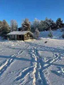 Зайкина дача - 57