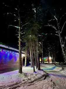 Метизник/Лапландия - 3