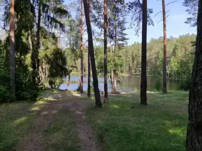 Жемчужина - 37